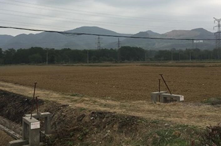 中藥材行業(yè)為什么會(huì)迎來(lái)種植熱潮？